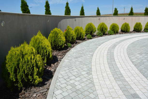 Best Driveway Repair Near Me  in Conestee, SC